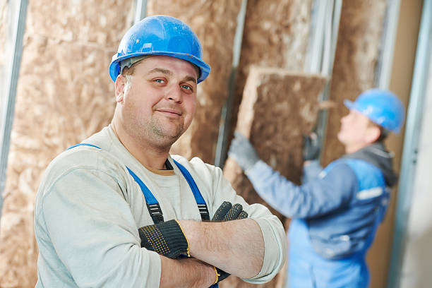 Best Commercial Insulation in St Anthony, MN